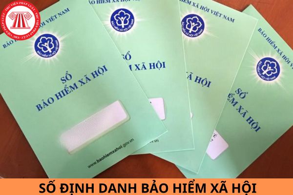 Số định danh bảo hiểm xã hội là gì? Mỗi người có bao nhiêu số định danh bảo hiểm xã hội?