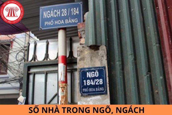 Cách đánh số nhà trong ngõ, ngách?