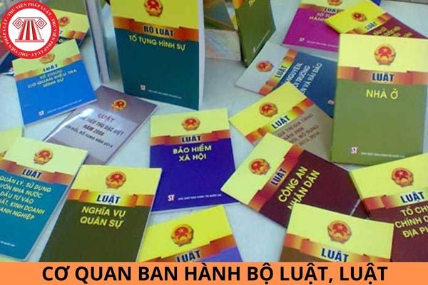 Cơ quan ban hành bộ luật, luật là cơ quan nào?