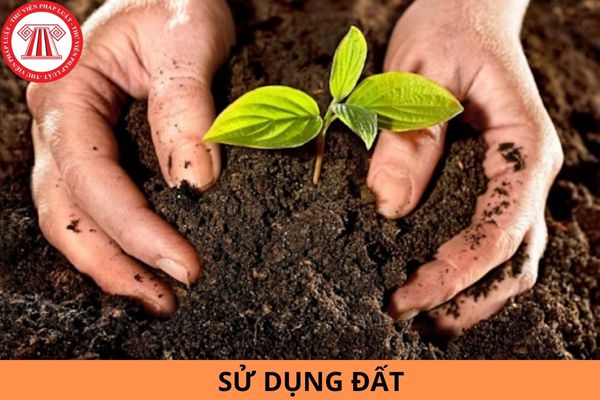 Hành vi sử dụng đất trái với các quy định của pháp luật về quản lý và sử dụng đất đai thì có bị truy cứu trách nhiệm hình sự không?