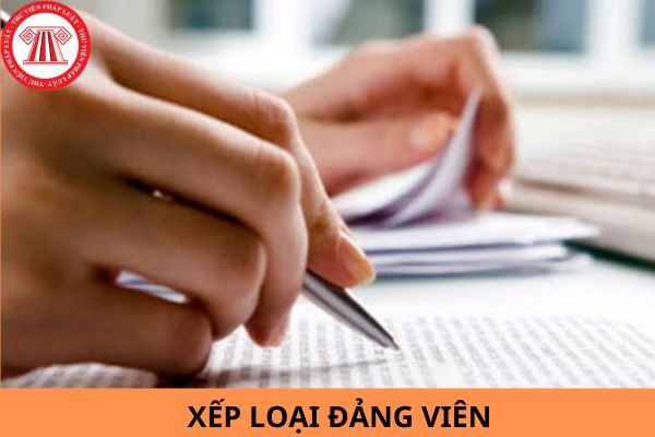 Việc xếp loại đảng viên cuối năm 2023 dựa trên những tiêu chí nào?