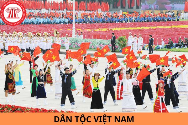 Dân tộc Việt Nam có số lượng đông dân nhất là dân tộc nào?