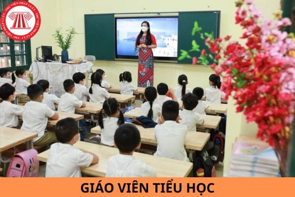 Giáo viên tiểu học hạng 2 cần có bằng cấp gì? Giáo viên tiểu học hạng 2 có mức lương là bao nhiêu?