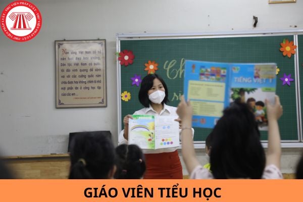 Mức lương của giáo viên tiểu học hạng 1 hiện nay là bao nhiêu?