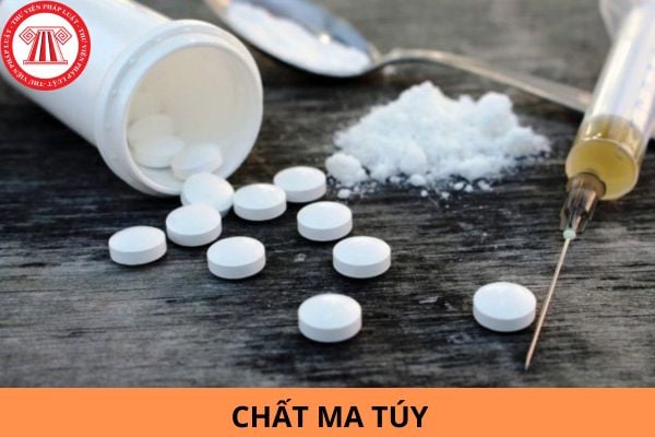 Chất ma túy là gì? Một số loại ma túy thường gặp?