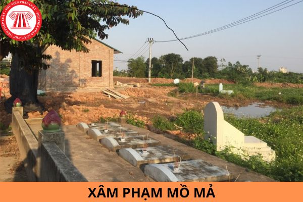 Hành vi nào là hành vi xâm phạm mồ mả? Mức phạt tội xâm phạm mồ mả 2023 là bao nhiêu?