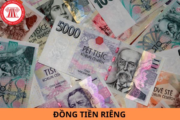 Nước Đông Nam Á nào không có đồng tiền riêng?