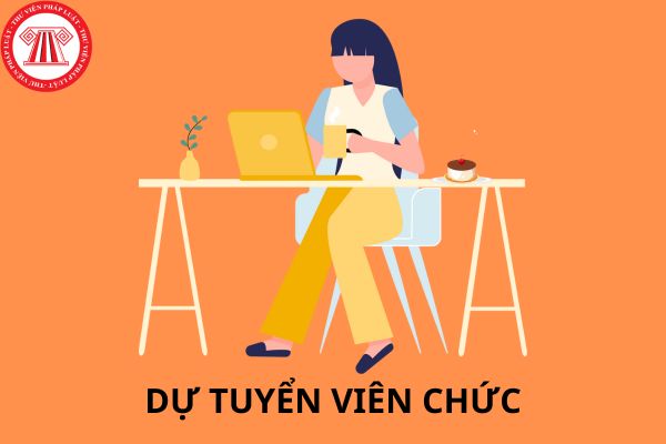 Mẫu phiếu đăng ký dự tuyển viên chức mới nhất theo quy định hiện nay?