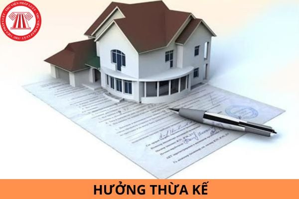 Cháu nội có được hưởng thừa kế không?