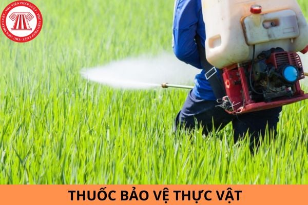 Danh mục thuốc bảo vệ thực vật được phép sử dụng tại Việt Nam?