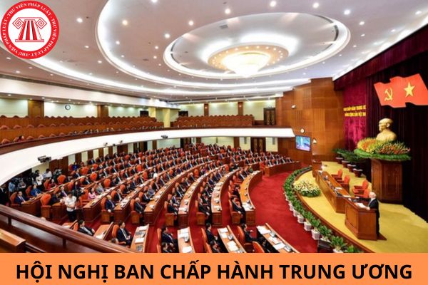 Hội nghị Ban Chấp hành Trung ương lần thứ nhất vào năm nào?