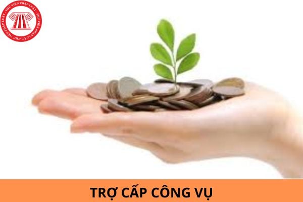 Công chức đang trong thời gian tập sự có được hưởng phụ cấp công vụ không?