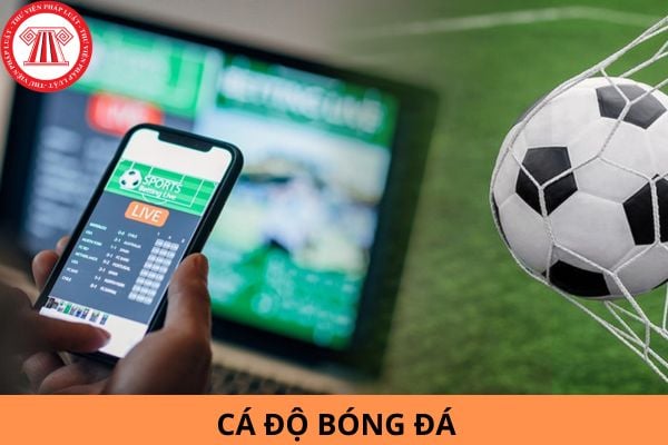 Cá độ bóng đá bao nhiêu tiền thì bị truy cứu trách nhiệm hình sự?