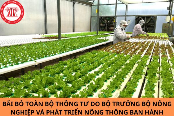 Bãi bỏ toàn bộ 07 Thông tư do Bộ trưởng Bộ Nông nghiệp và Phát triển nông thôn ban hành từ ngày 05/02/2024?