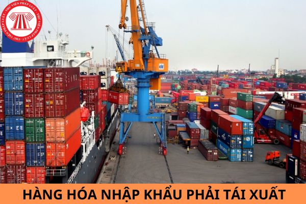 Mẫu công văn đề nghị hoàn thuế đối với hàng hóa nhập khẩu phải tái xuất mới nhất năm 2024?