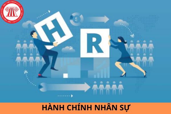 Những công việc quan trọng của hành chính nhân sự cần làm đầu năm 2024?