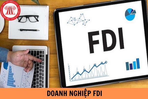 Mẫu báo cáo giám sát, đánh giá định kỳ trong giai đoạn thực hiện đầu tư của doanh nghiệp FDI mới nhất năm 2024?