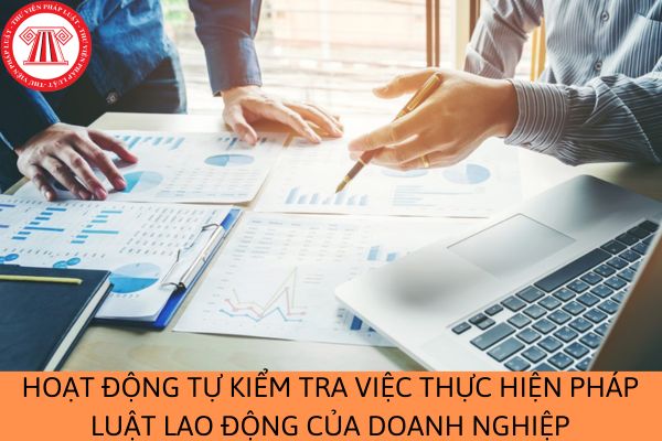 Quy trình hoạt động tự kiểm tra việc thực hiện pháp luật lao động của doanh nghiệp năm 2023?