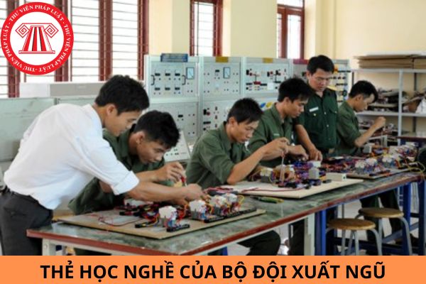 Chế độ đào tạo, học nghề, giải quyết việc làm khi xuất ngũ của hạ sĩ quan, binh sĩ được quy định như thế nào?