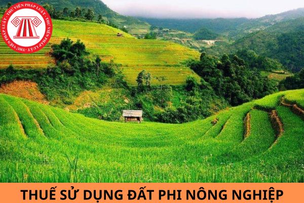 Thời hạn nộp thuế sử dụng đất phi nông nghiệp năm 2023?