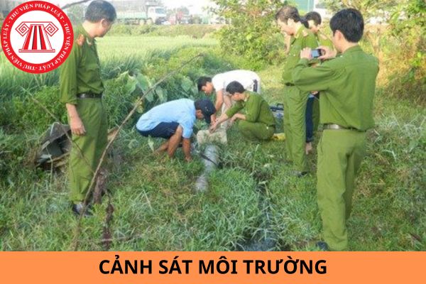 Cảnh sát môi trường bị nghiêm cấm thực hiện các hành vi nào?