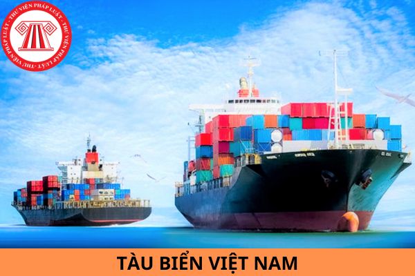 Trường hợp nào tàu biển Việt Nam được kiểm định, đánh giá từ xa?