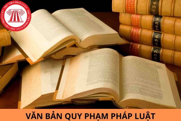 Có phải mọi Quyết định là văn bản quy phạm pháp luật không?