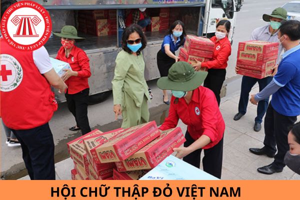 Hội Chữ thập đỏ làm nhiệm vụ gì?