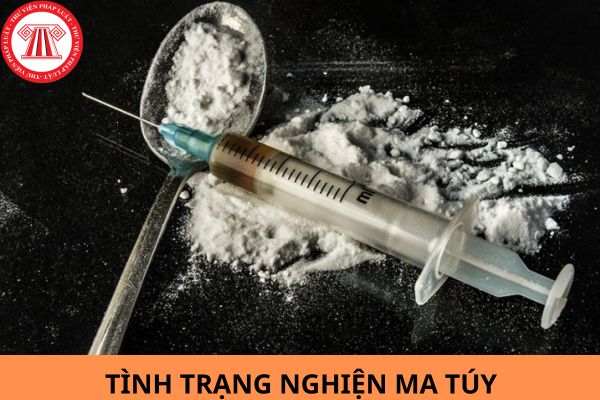 Quy trình chuyên môn để xác định tình trạng nghiện ma túy được quy định như thế nào?