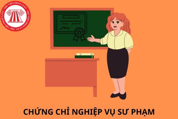 Chứng chỉ nghiệp vụ sư phạm là gì? Chương trình học chứng chỉ nghiệp vụ sư phạm thế nào?