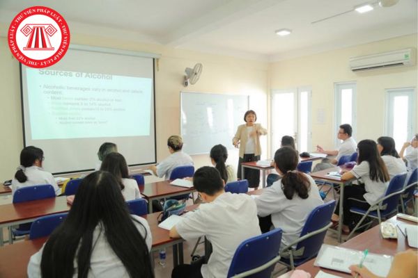 Trường cao đẳng có vốn đầu tư nước ngoài chỉ được tổ chức giảng dạy theo chương trình đào tạo của Việt Nam? 