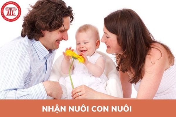 lệ phí nhận nuôi con nuôi