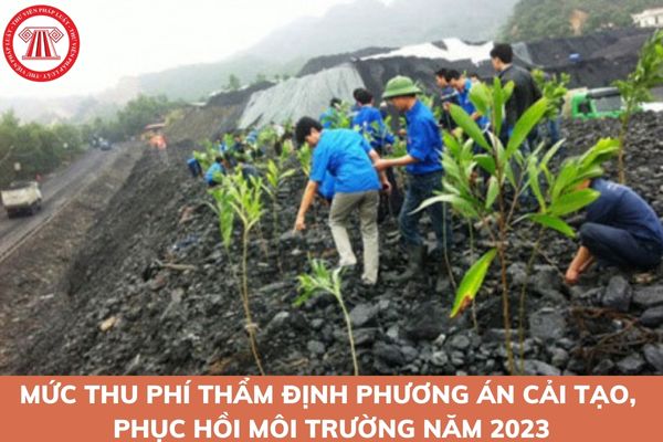 phí thẩm định