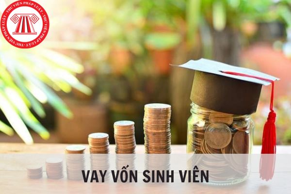 Vay vốn sinh viên năm 2024: Mức hưởng và điều kiện hưởng mới nhất?