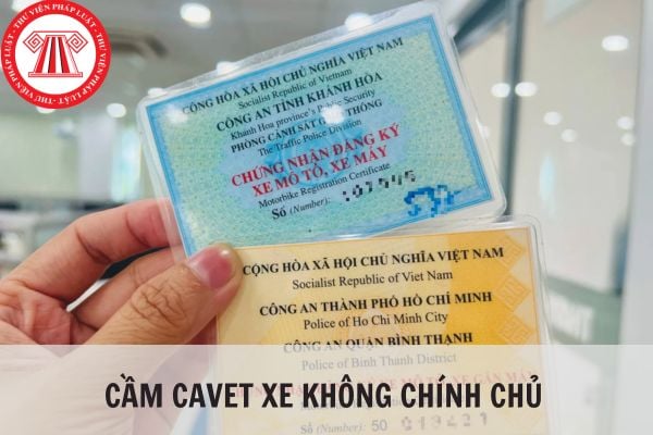 Cavet xe là gì? Cavet xe không chính chủ có mang đi cầm cố, cầm đồ được không?