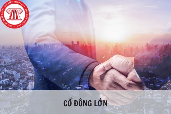 Cổ đông lớn là gì? Vai trò của cổ đông lớn trước khi chào bán cổ phiếu lần đầu ra công chúng như thế nào?