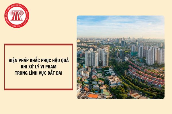 Tổng hợp các biện pháp khắc phục hậu quả khi xử lý vi phạm hành chính trong lĩnh vực đất đai theo Nghị định 123?