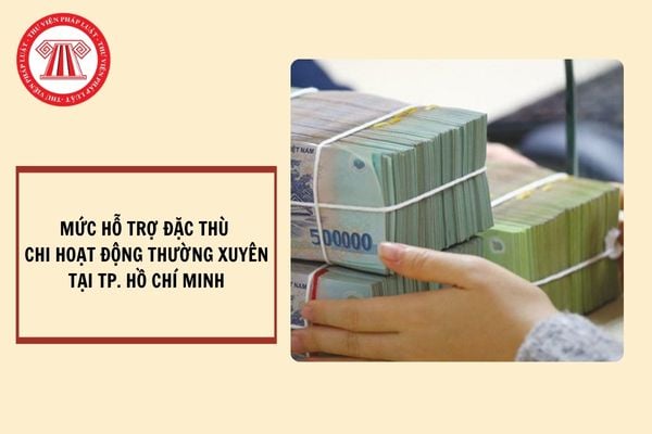 Mức hỗ trợ đặc thù chi hoạt động thường xuyên ngành Kiểm sát, ngành Tòa án, ngành Thi hành án dân sự và Sở Ngoại vụ TP. Hồ Chí Minh hiện nay?