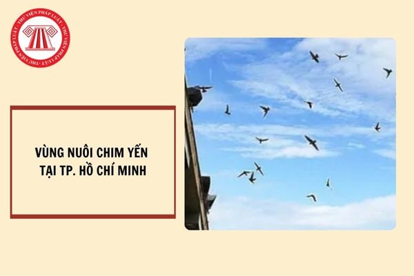 Vùng nuôi chim yến tại TP. Hồ Chí Minh từ ngày 01/01/2025?