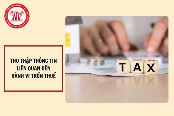 Quy định về thu thập thông tin liên quan đến hành vi trốn thuế là gì? Tạm giữ tài liệu và tang vật liên quan đến hành vi trốn thuế được quy định như thế nào?