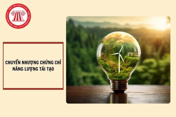 Chuyển nhượng chứng chỉ năng lượng tái tạo REC chịu thuế GTGT như thế nào?