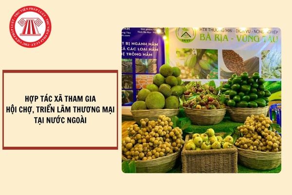 Hợp tác xã có được hỗ trợ kinh phí tham gia hội chợ, triển lãm tại nước ngoài không?