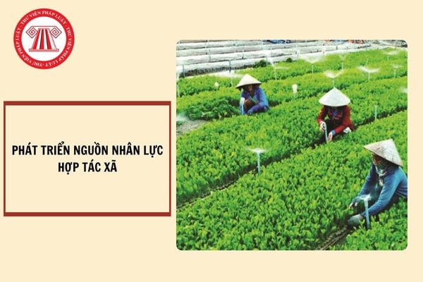 Nội dung chính sách hỗ trợ phát triển nguồn nhân lực hợp tác xã gồm những gì? Nộp hồ sơ đăng ký hỗ trợ ở đâu?