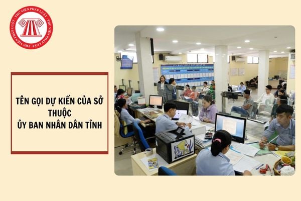 Tên gọi dự kiến của sở thuộc Ủy ban nhân dân cấp tỉnh sau khi hợp nhất?