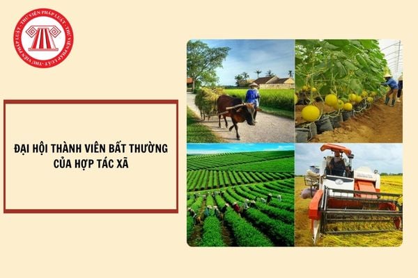 Đại hội thành viên bất thường của Hợp tác xã được triệu tập trong trường hợp nào?