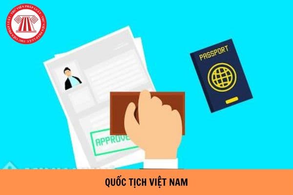 Đơn xin nhập quốc tịch Việt Nam cho người nước ngoài hiện nay?