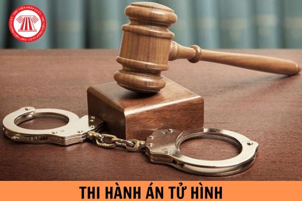 Không thi hành án tử hình đối với người bị kết án nếu thuộc một trong các trường hợp nào sau đây?