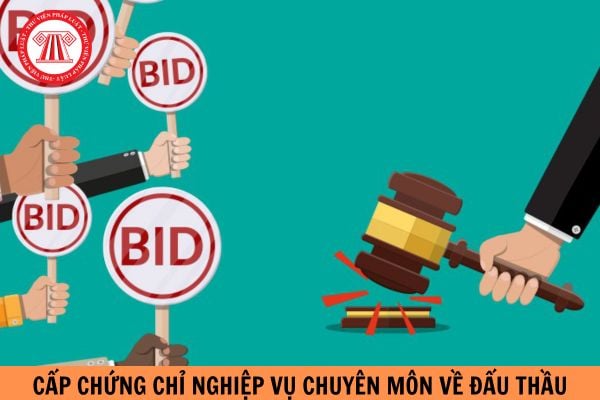 Hướng dẫn quy trình thủ tục hành chính ban hành mới về cấp chứng chỉ nghiệp vụ chuyên môn về đấu thầu như thế nào?