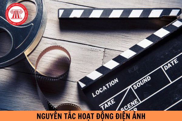 Nguyên tắc hoạt động điện ảnh cần đáp ứng những gì để xây dựng nền điện ảnh Việt Nam phát triển?