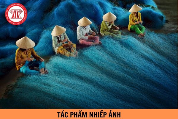 Hướng dẫn trình tự thủ tục đề nghị cấp giấy phép triển lãm tác phẩm nhiếp ảnh tại Việt Nam mới nhất?
